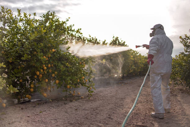 Best Termite Control Services  in Lake Heritage, PA
