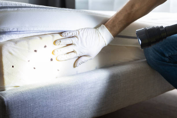 Best Mosquito Control Services  in Lake Heritage, PA