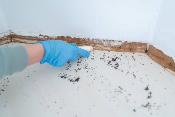 Pest Prevention Services in Lake Heritage, PA