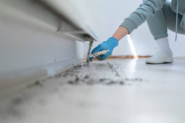 Best Wildlife Control Services  in Lake Heritage, PA