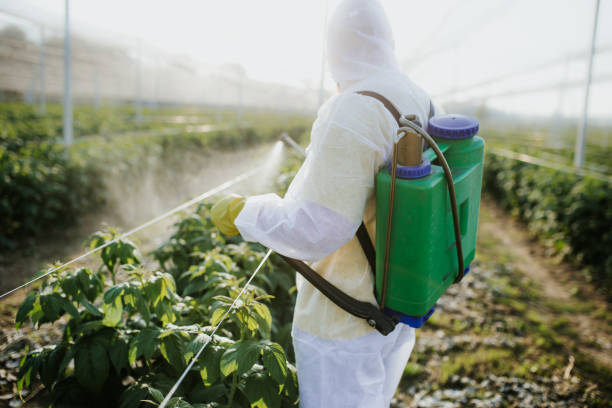 Best Ant Control Services  in Lake Heritage, PA